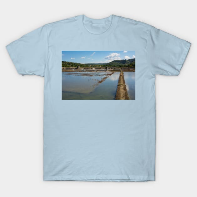 Strunjan Salt Flats, Slovenia T-Shirt by jojobob